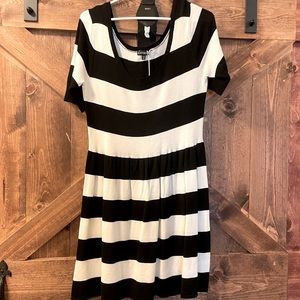 Express short sleeve sweater dress with belt
